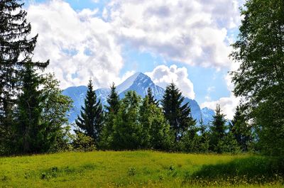 Scenic view of trees and mountains against sky