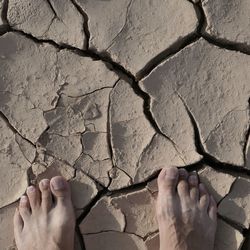 Low section of person standing on drought land