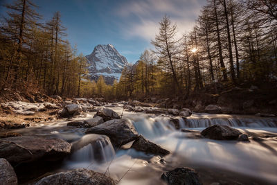 Scenic view of waterfall in forest against sky