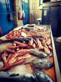 Close-up of served food