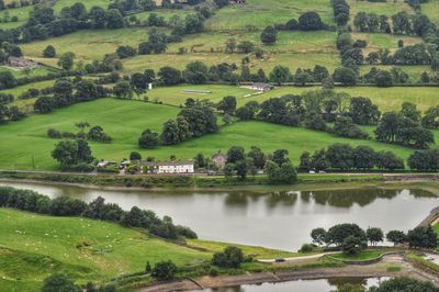 Scenic view of field by lake