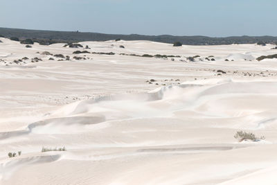 Scenic view of desert against clear sky