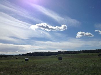 Scenic view of grassy field against sky