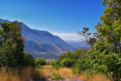 nature