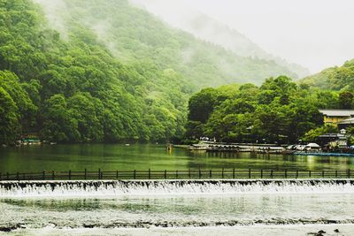 Scenic view of lake against trees