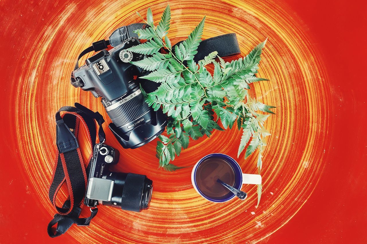 HIGH ANGLE VIEW OF CAMERA ON POTTED PLANT