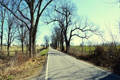 Road amidst trees against sky