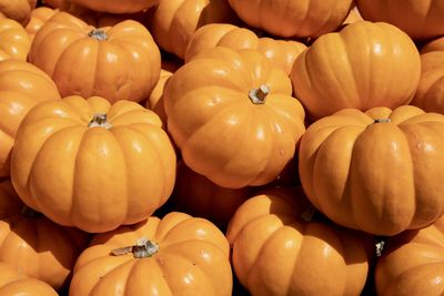 Full frame shot of pumpkins in market