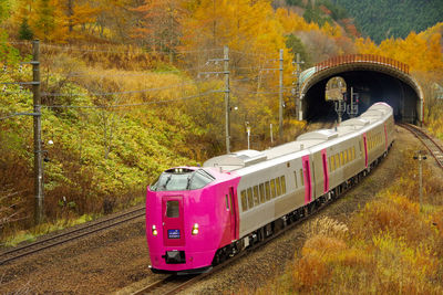 Train on railroad track in autumn forest