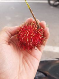 Close-up of hand holding strawberry