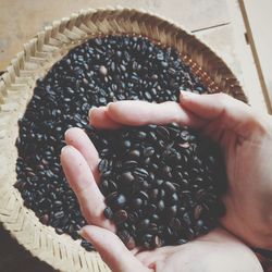 Cropped hands of person holding roasted coffee beans