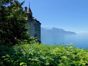 Plants and castle by sea against clear sky