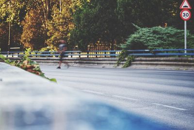 Surface level of road against trees in city