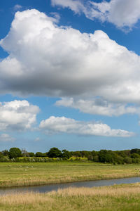 Scenic view of field against sky