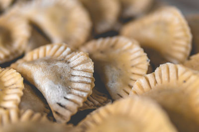 Close-up of mushrooms