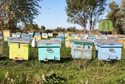 apiary