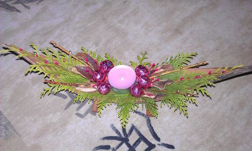 Close-up of flowers on wall