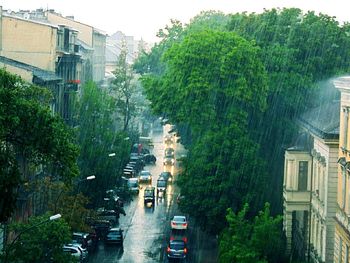 View of city street