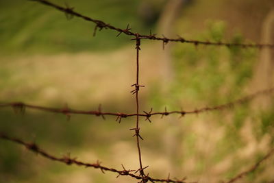 Close-up of barbed wire