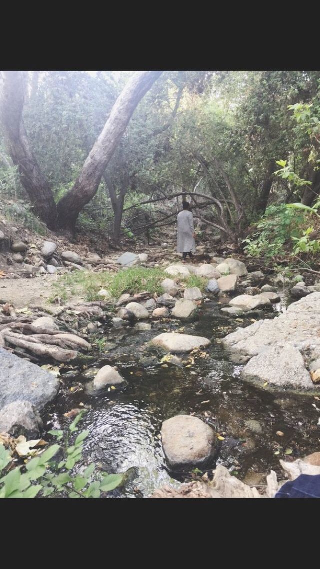 transfer print, auto post production filter, rock - object, tree, tranquility, nature, tranquil scene, day, stone - object, water, built structure, stone, rock, scenics, no people, plant, sunlight, outdoors, growth, beauty in nature