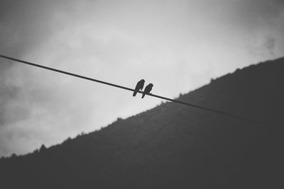 Low angle view of bird perching on cable against sky