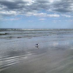 Scenic view of sea against cloudy sky