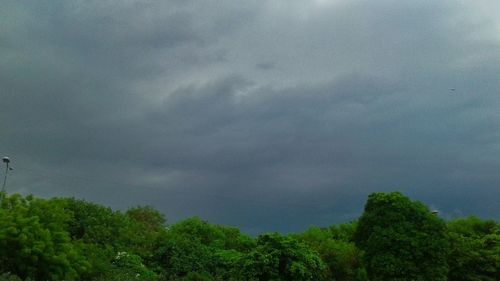 Low angle view of trees against storm clouds