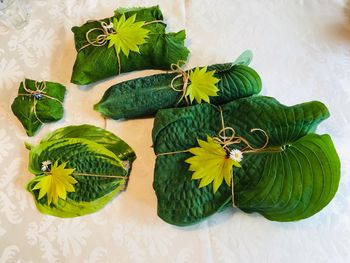 High angle view of potted plant on table