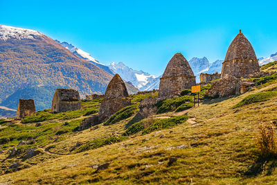 Plants growing on mountain against blue sky