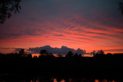 Silhouette of trees at sunset