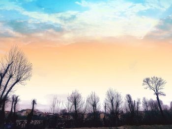 Silhouette bare trees against sky during sunset