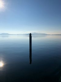 Wooden post in sea against clear blue sky