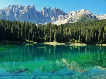 Reflection of trees and mountains in lake during sunny day