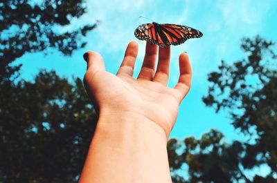 Low angle view of cropped hand against clear sky