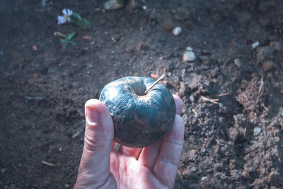 Close-up of hand holding ice cream cone on field