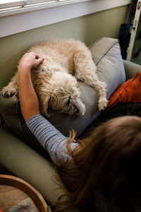 Mid 40's woman sitting on chair with her two large dogs