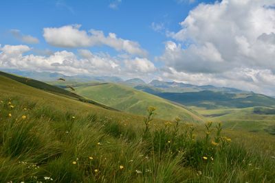 Scenic view of landscape against sky