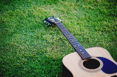 Guitar on grassy land