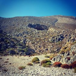 Scenic view of landscape against clear sky