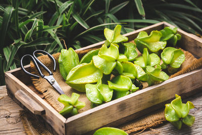 High angle view of vegetables on table