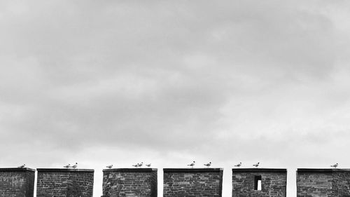Birds perching on walls against cloudy sky