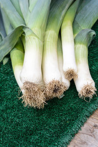 High angle view of scallions on table