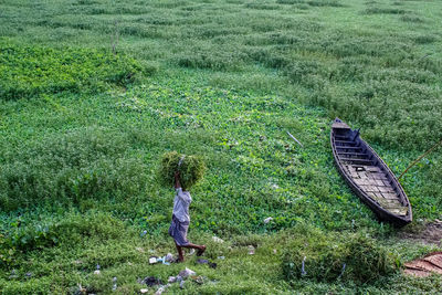 High angle view of man carrying plants on grassy field