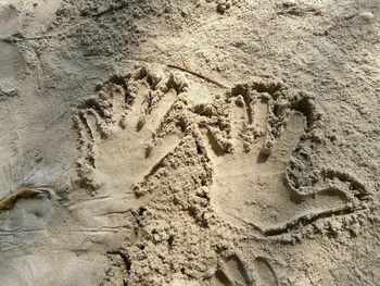 High angle view of footprints on sand