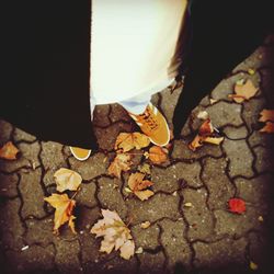 Fallen leaves on ground