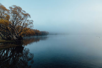 Reflection of trees in lake