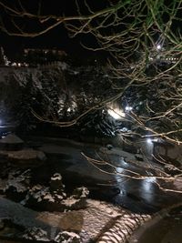 Scenic view of river amidst trees at night
