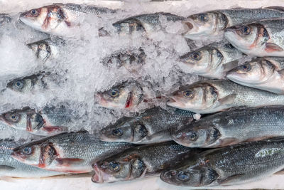 Full frame shot of fish for sale in market