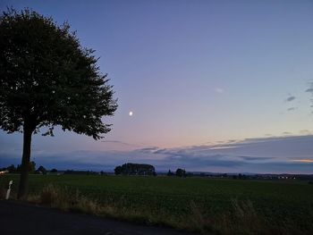 Scenic view of agricultural field against sky during sunset