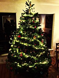 Close-up of potted plant